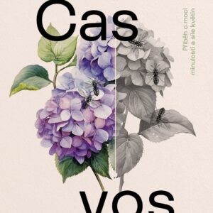 Čas vos